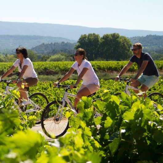 La Provence à vélo